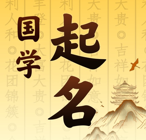 桃源国学起名 人工起名一对一